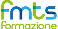 fmts group
